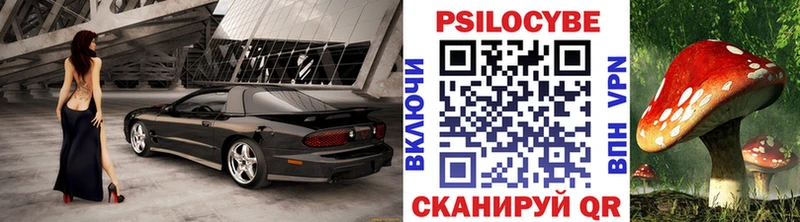 Галлюциногенные грибы Psilocybe Купить где Яровое